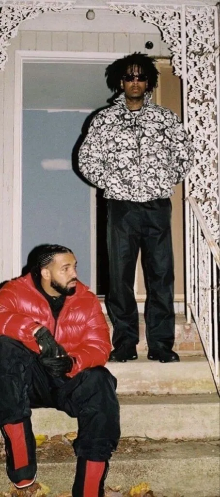 drake wallpaper 4k 454x1024