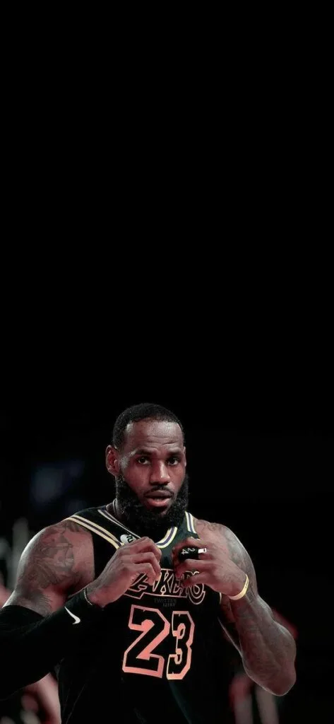 lebron james cavs wallpaper 473x1024