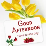 Good Afternoon Images, Pics, Photos, Pictures & Wishes