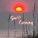 Good Evening Images, Pics, Photos, Pictures & Wishes